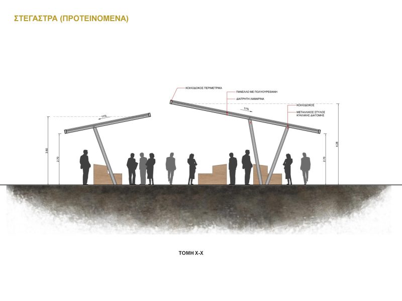 Market Regerneration Derynia