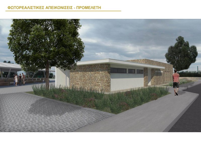 Market Regerneration Derynia