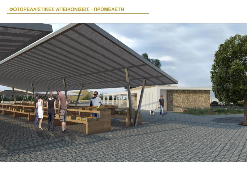 Market Regerneration Derynia