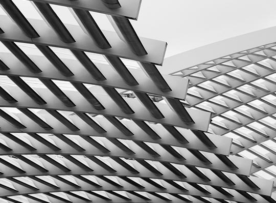 Multidisciplinary Experience